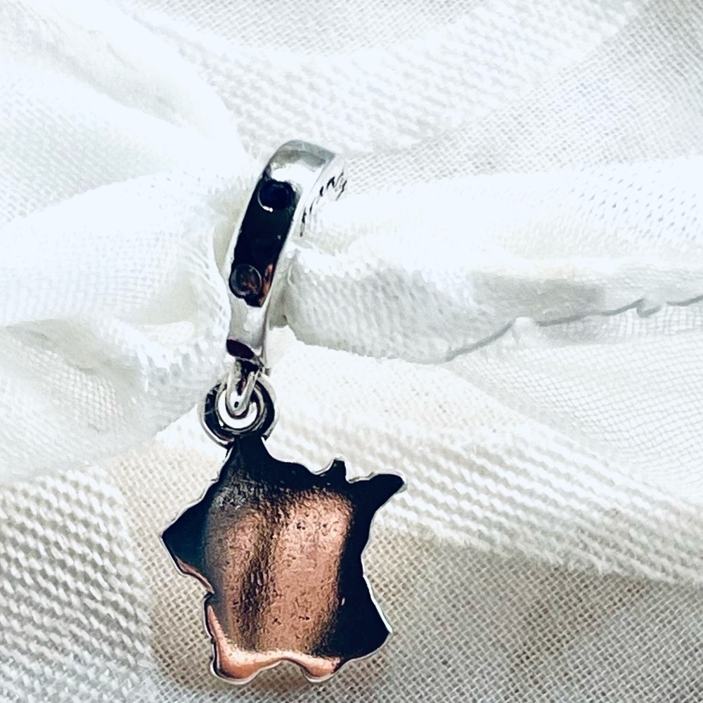 ❤️NWOT France Charm – "C'est la Vie" - Picture 6 of 13